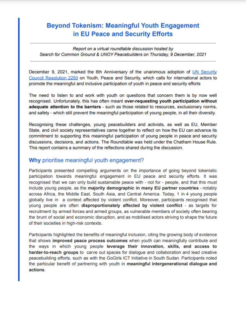 EU YPS roundtable report cover