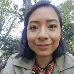 Dinorah blog author